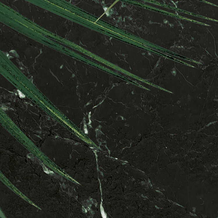 Monstera on Marble