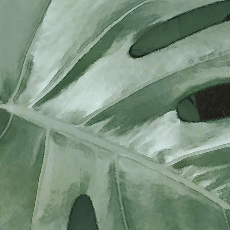 Monstera on Marble
