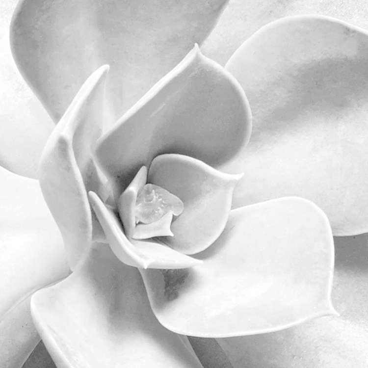 Shades Black and White