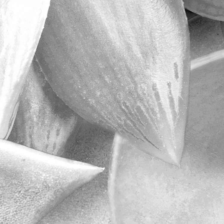 Shades Black and White