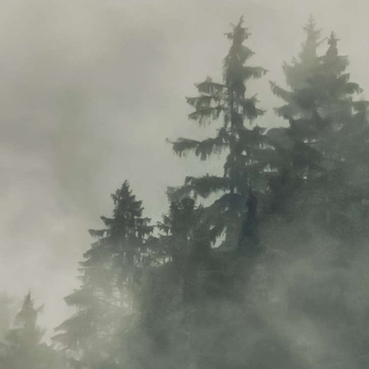 Tales of the Carpathians