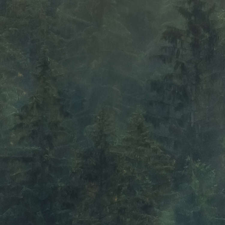Tales of the Carpathians