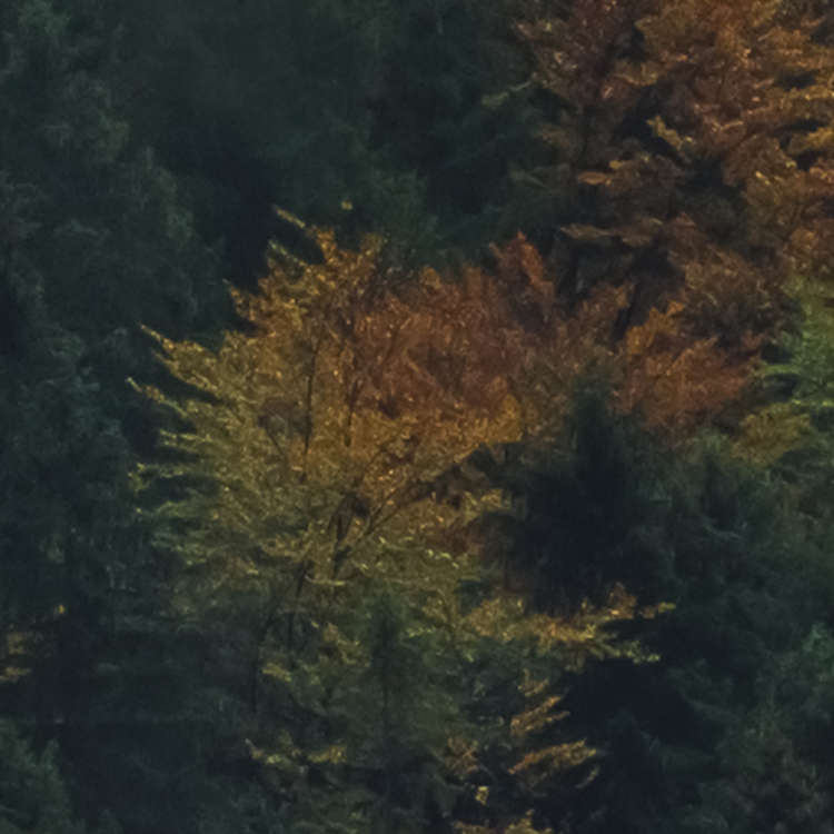 Tales of the Carpathians