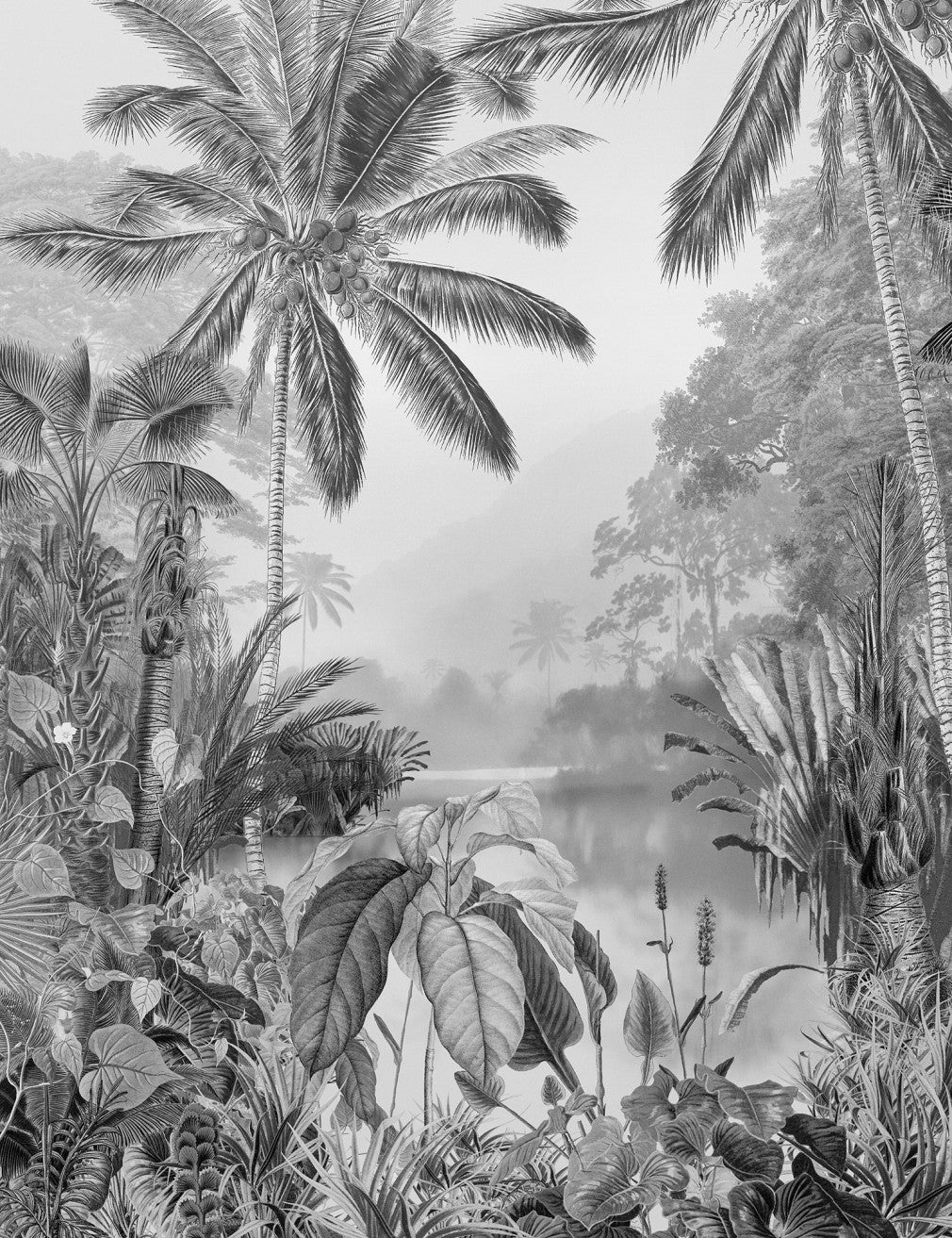 Lac Tropical Black & White