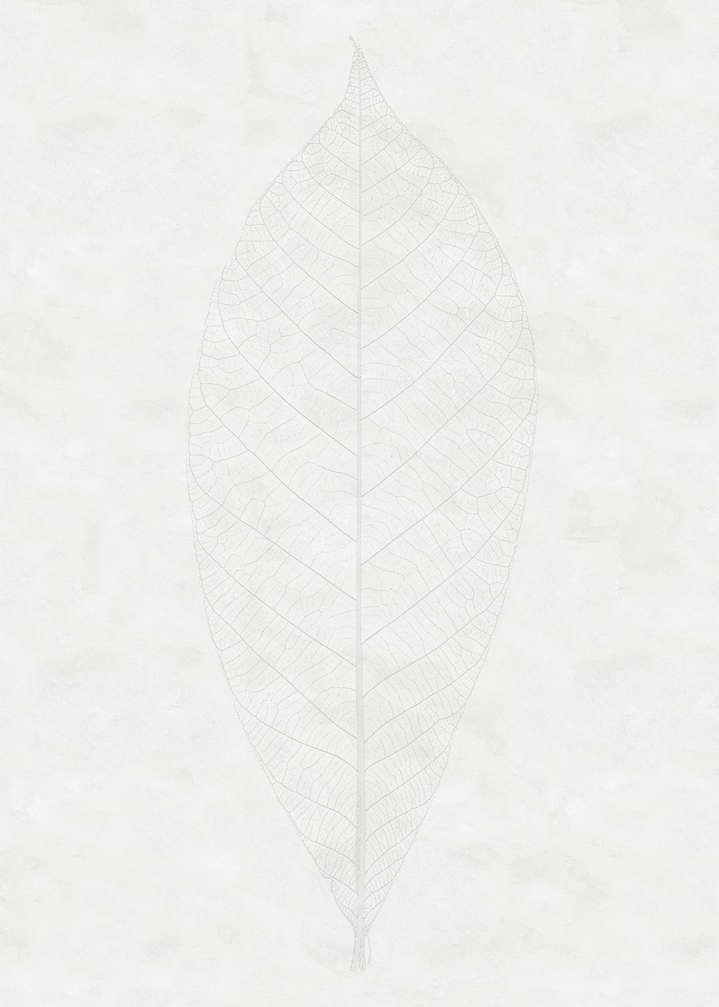 Decent Leaf