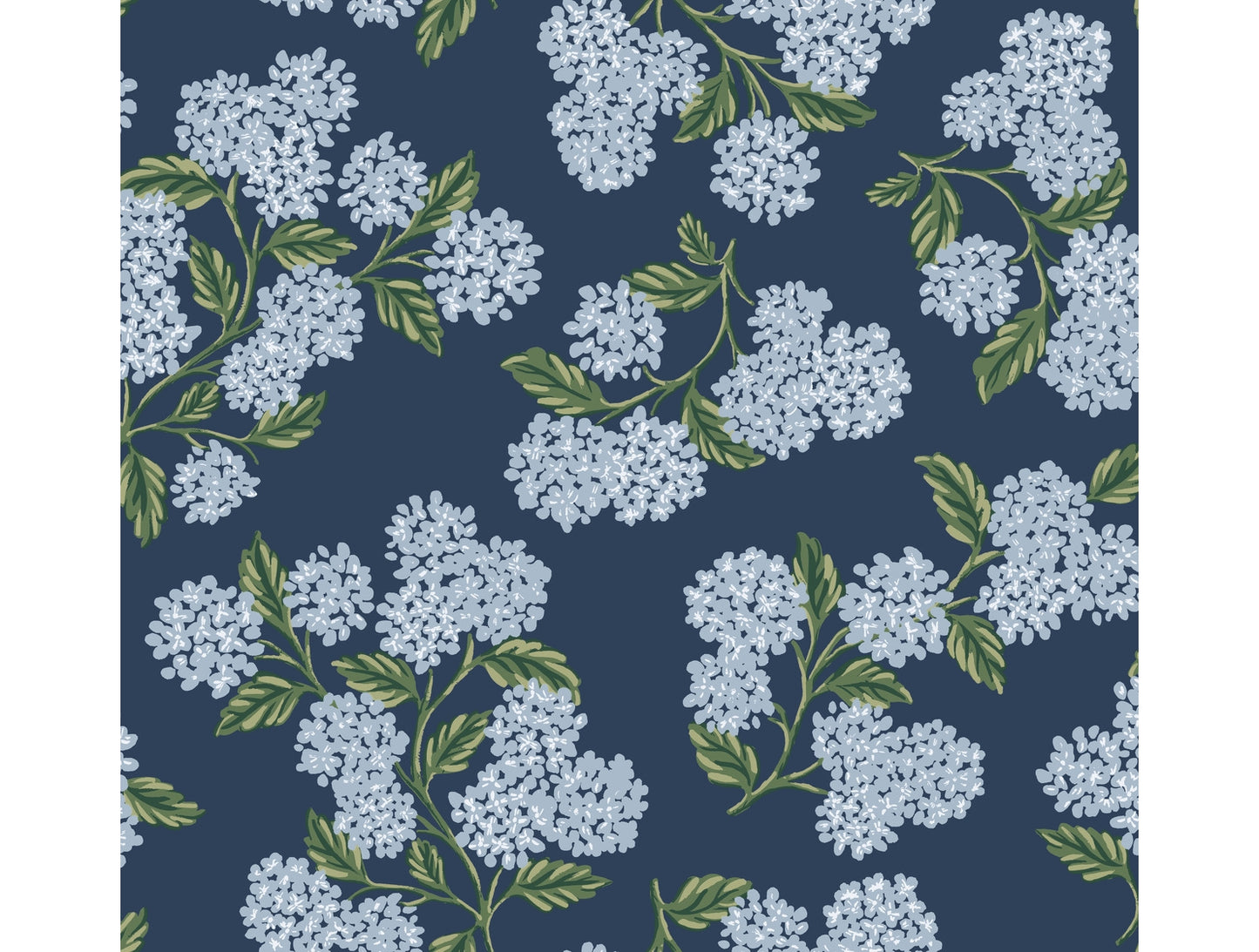 Hydrangea