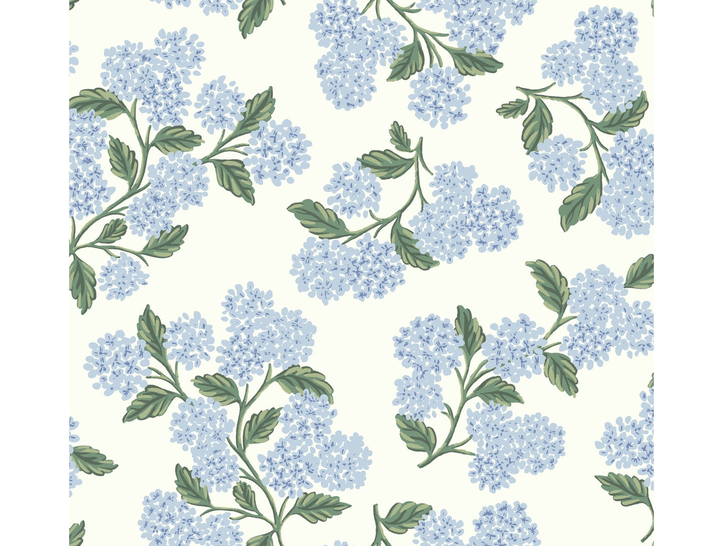 Hydrangea