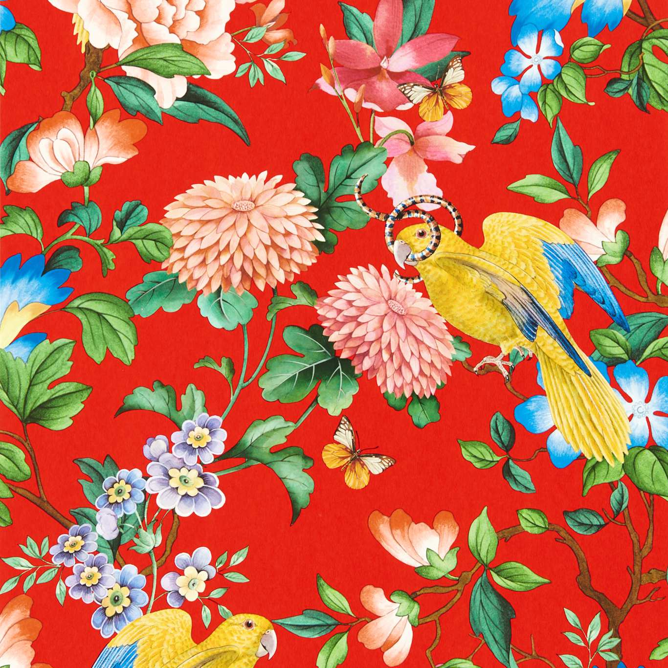 GOLDEN PARROT