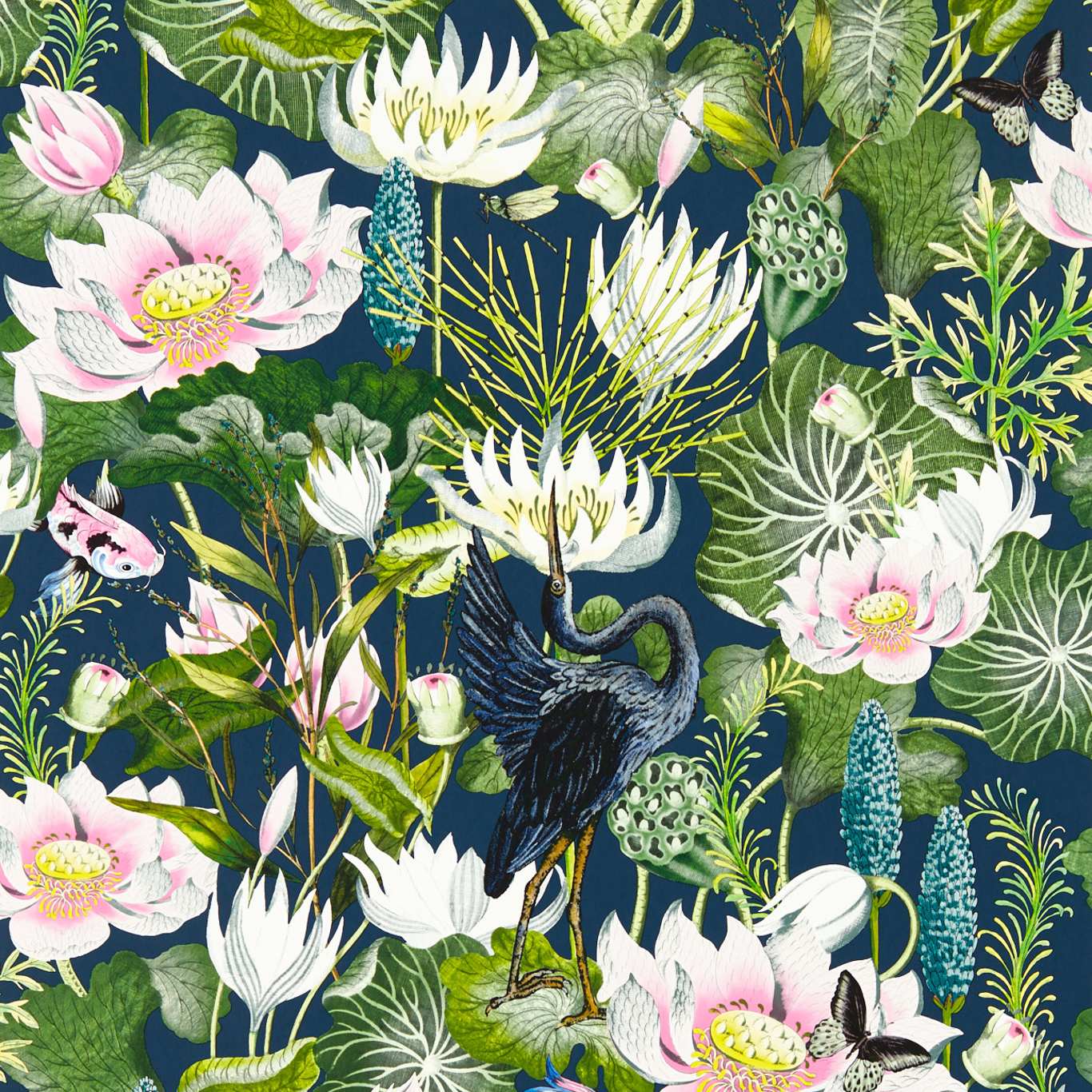 WATERLILY ❀