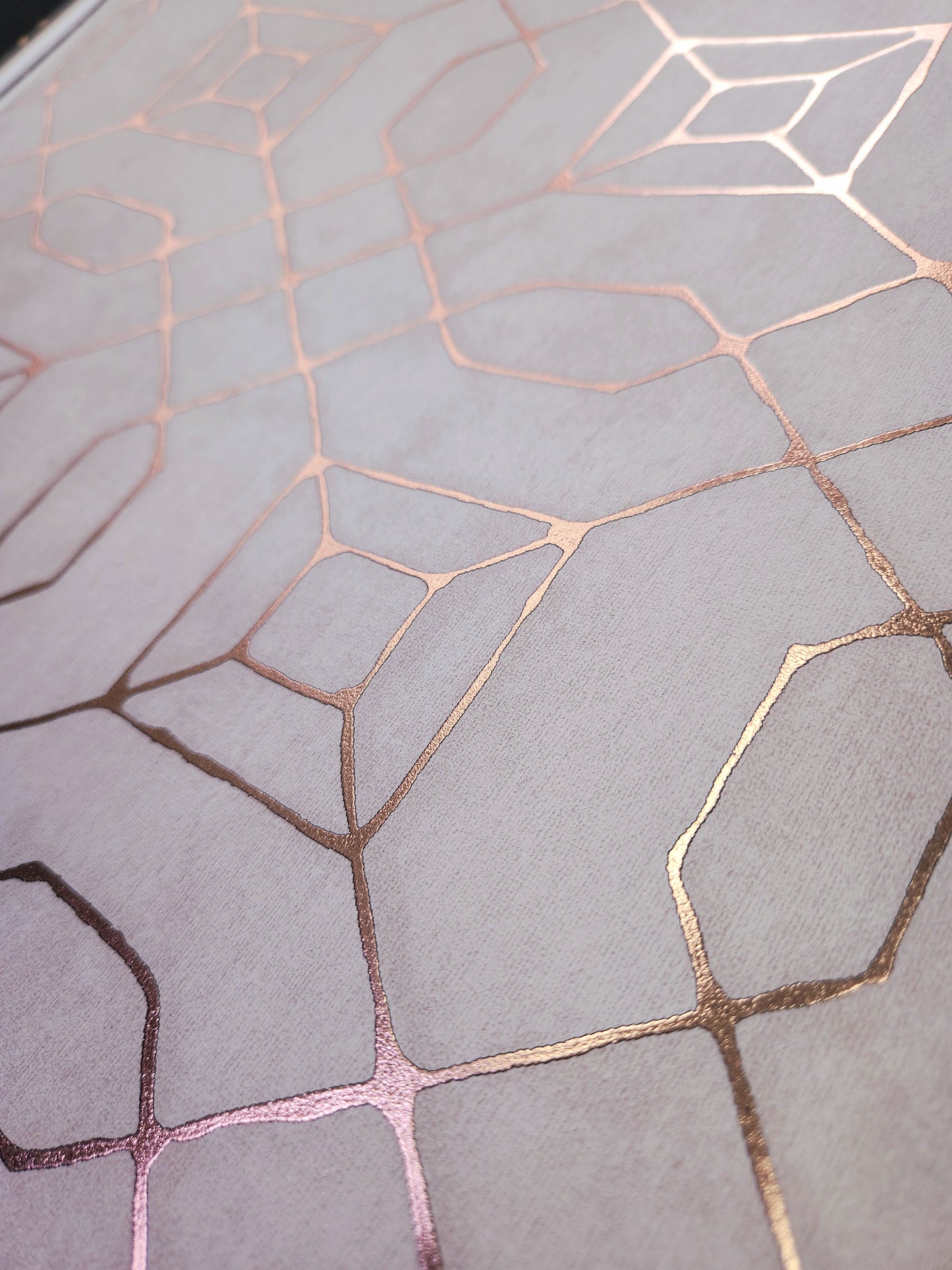 Geometric Lines