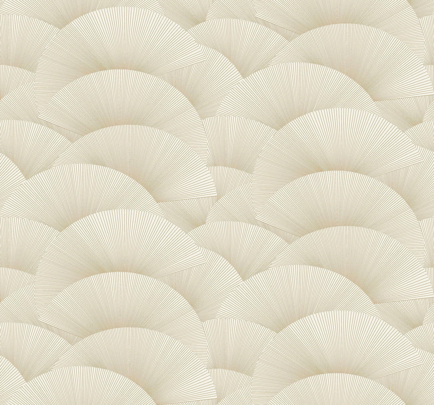 Morning Shell - Cream & Gold