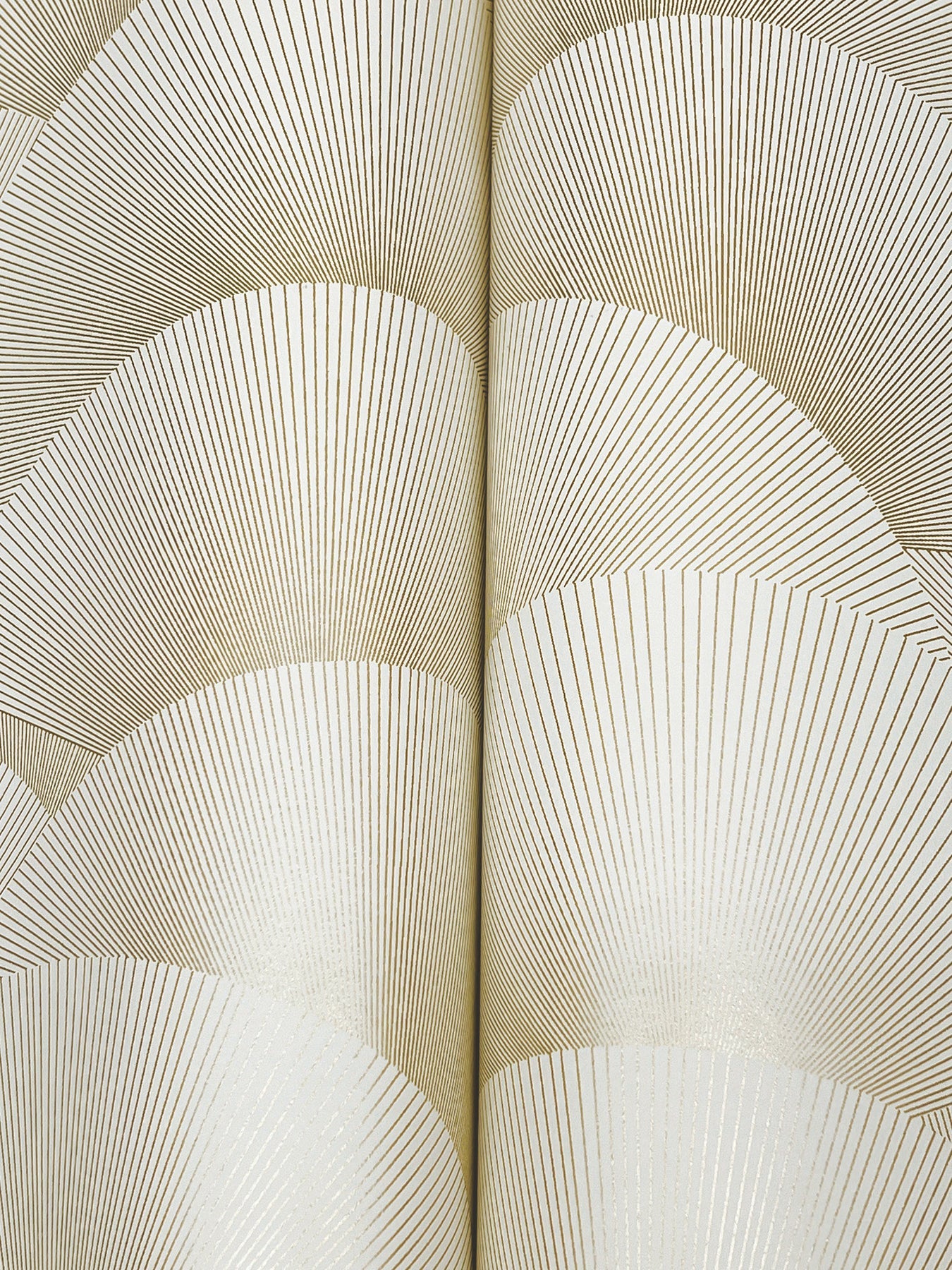 Morning Shell - Cream & Gold