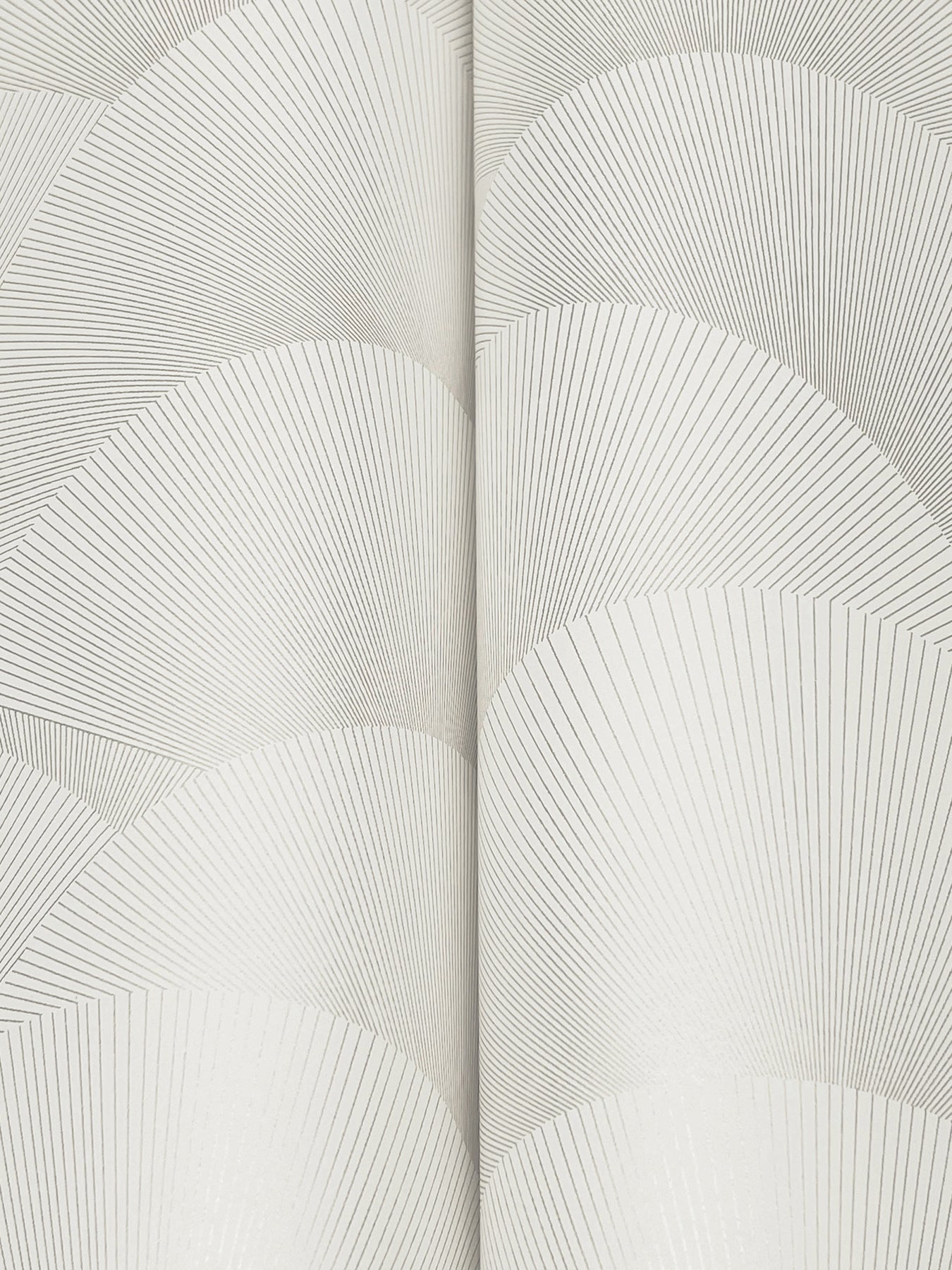 Morning Shell - White & Silver