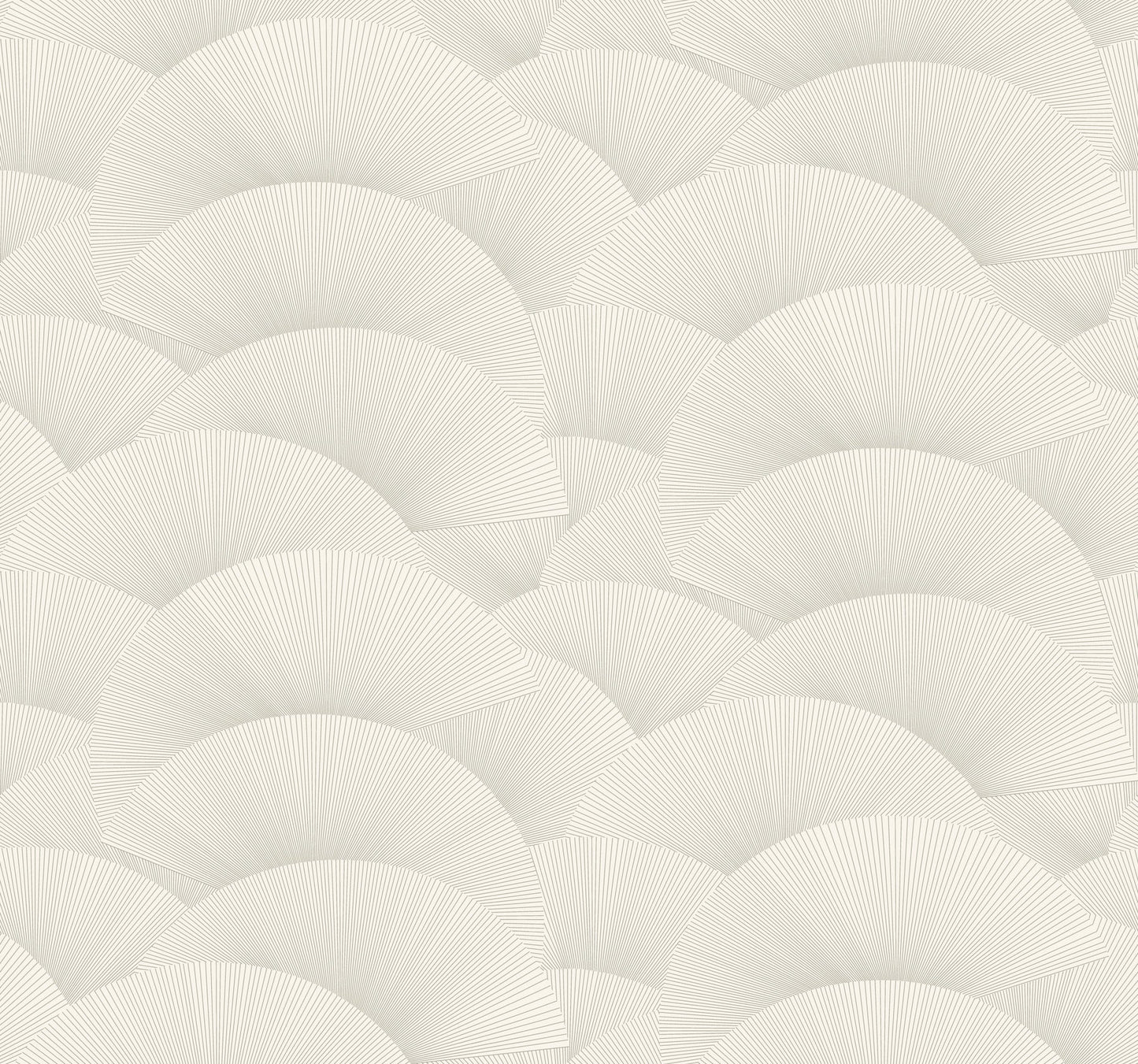 Morning Shell - White & Silver
