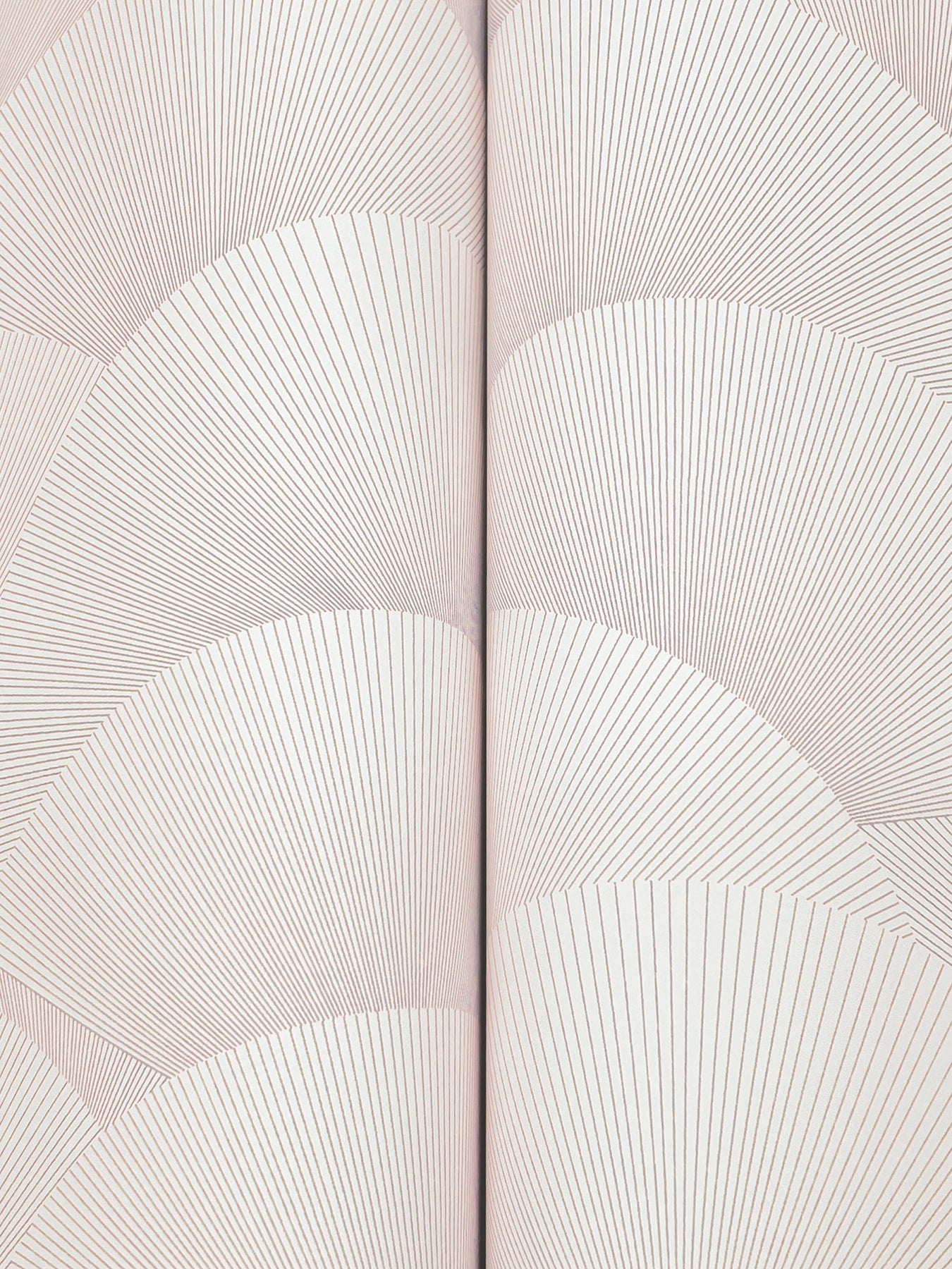 Morning Shell - Blush