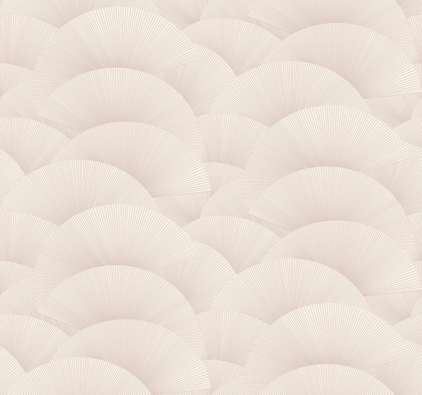 Morning Shell - Blush