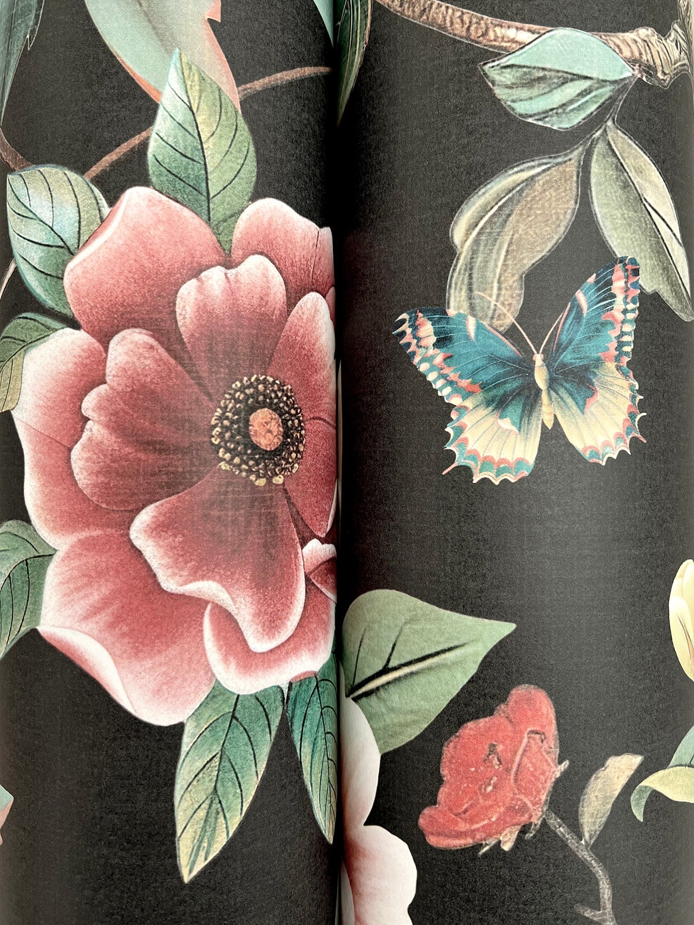 Kimora's Garden - Black