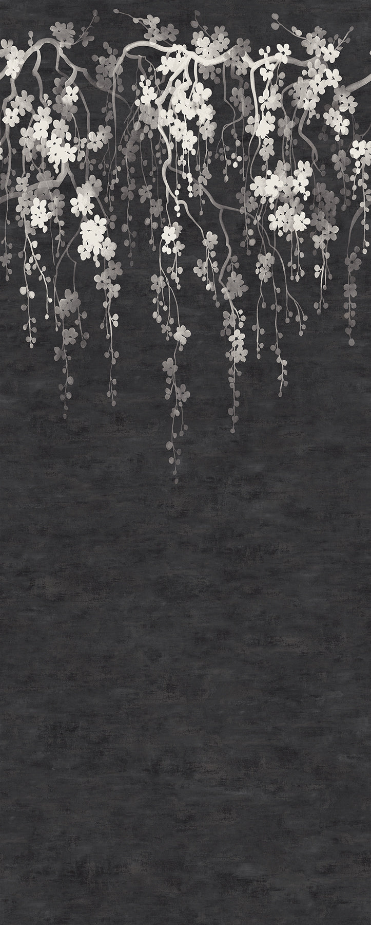 Sakura Blooms Wall Mural - Black