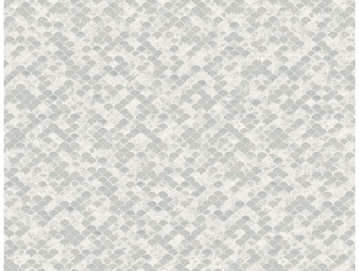 Fish Scales