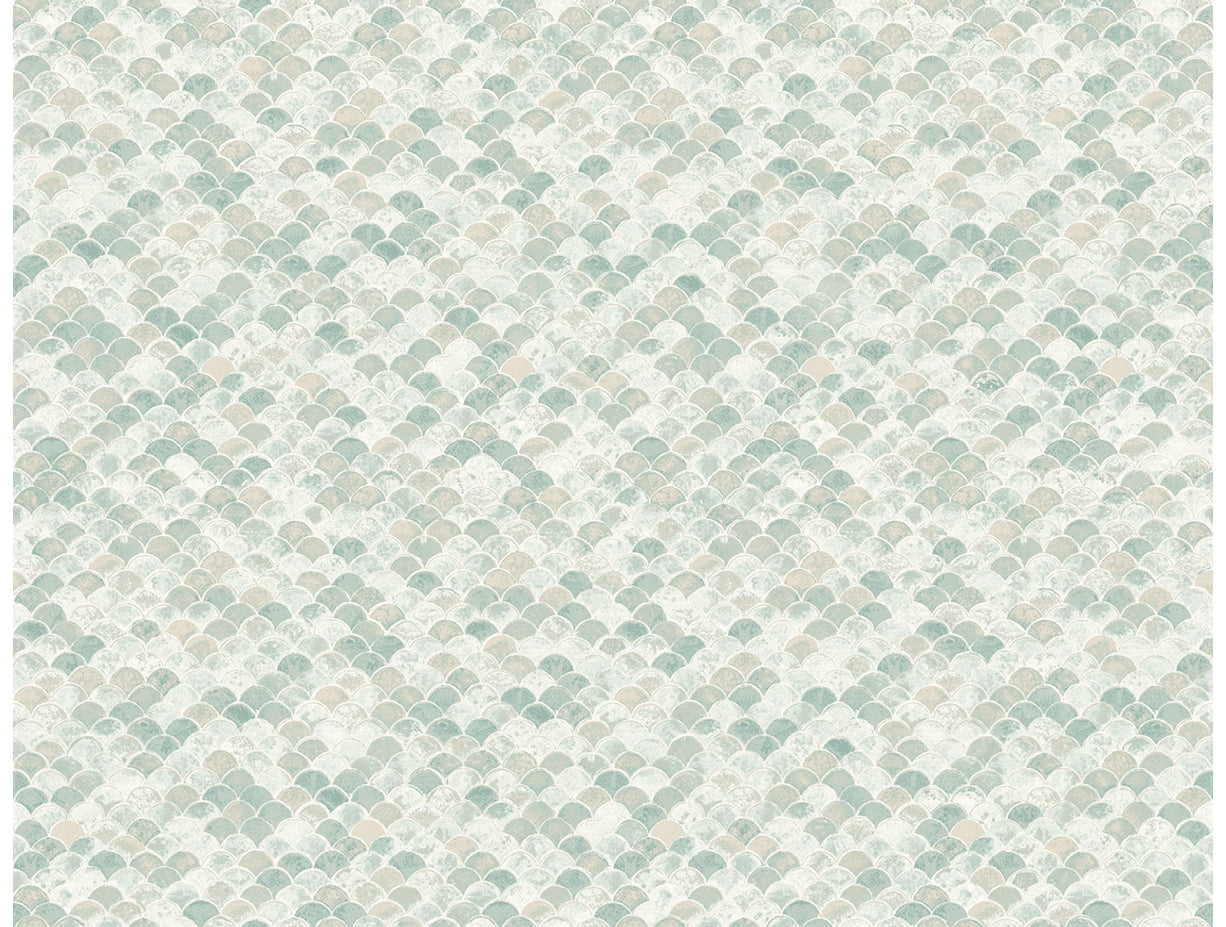 Fish Scales