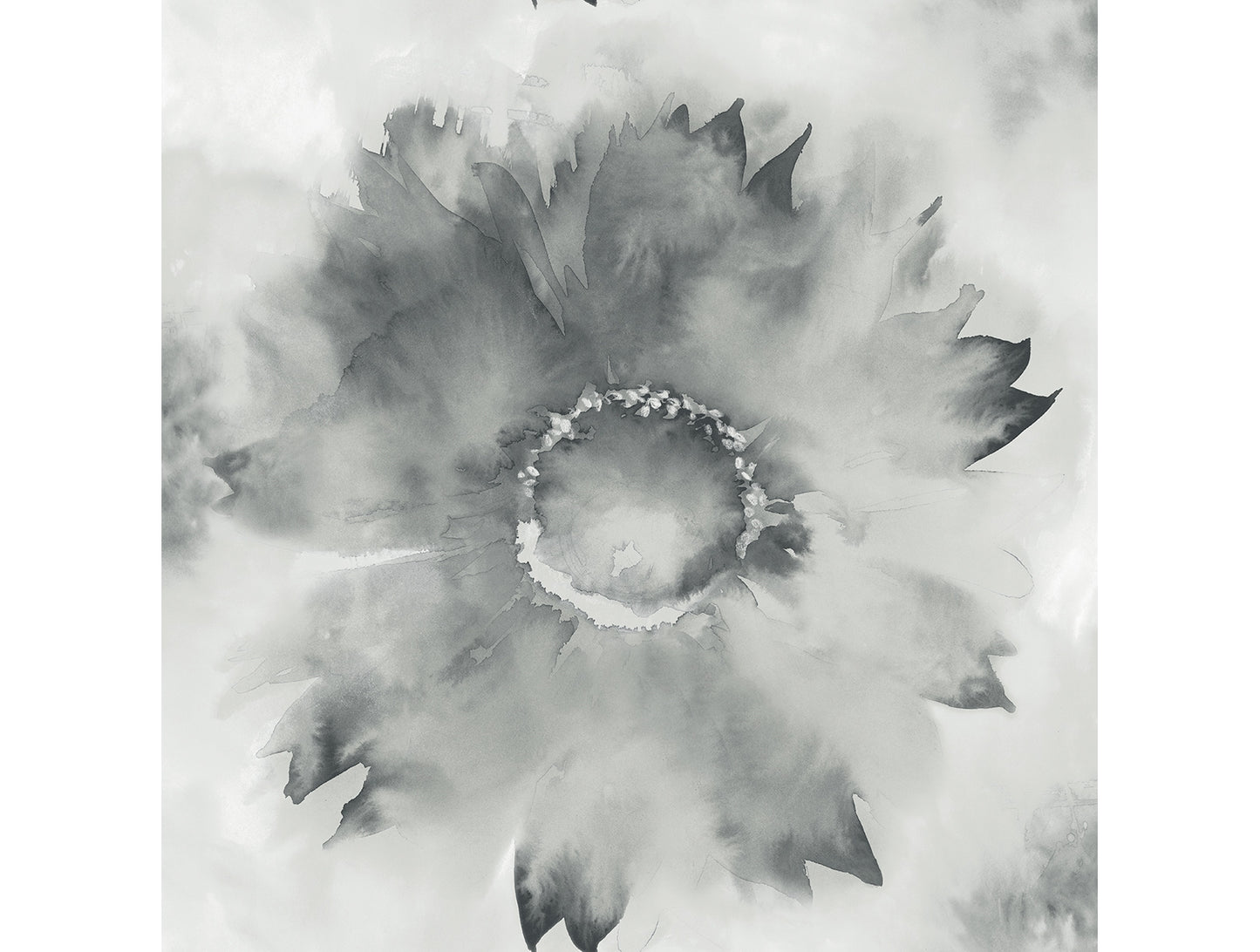 Sunflower & Abstract