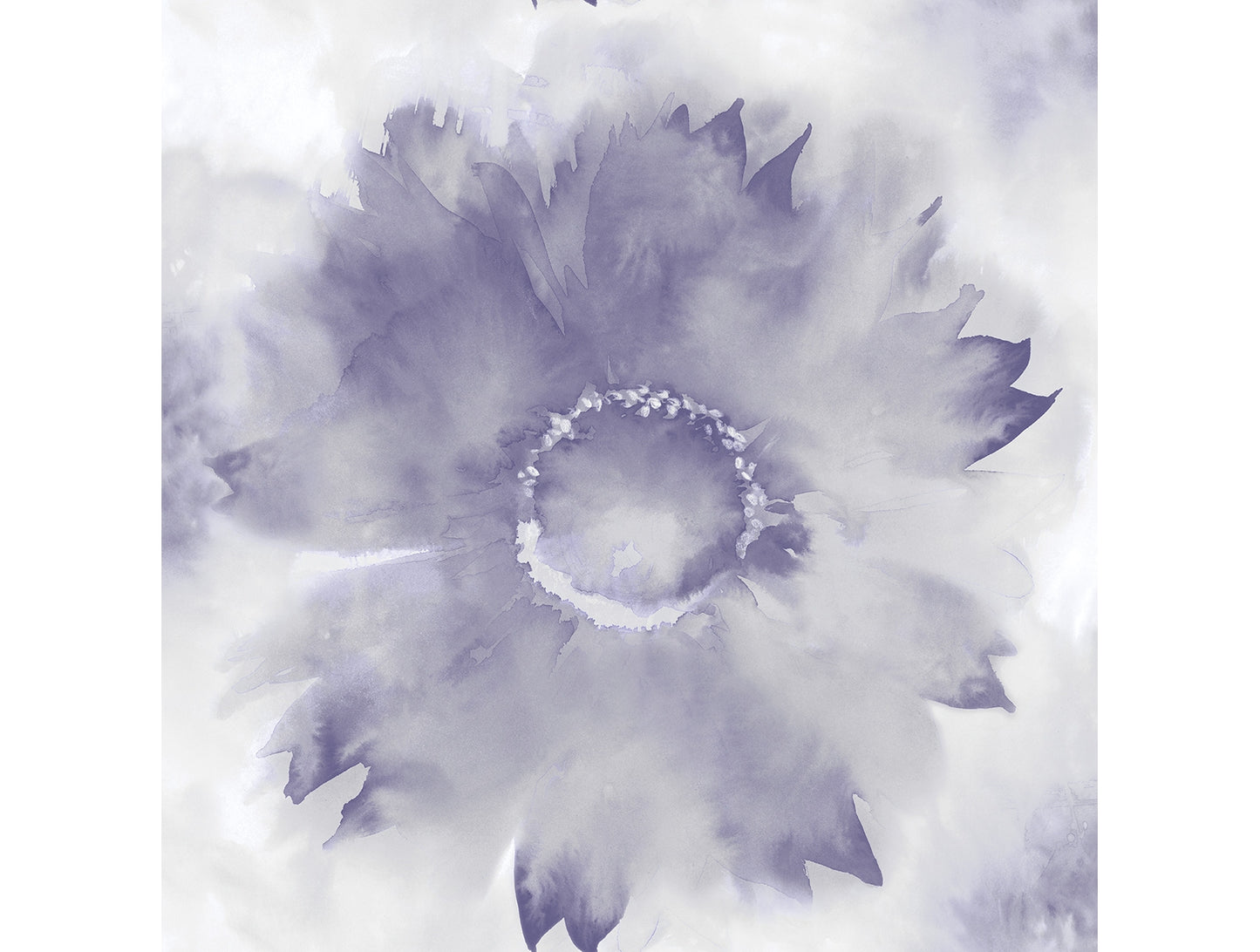 Sunflower & Abstract