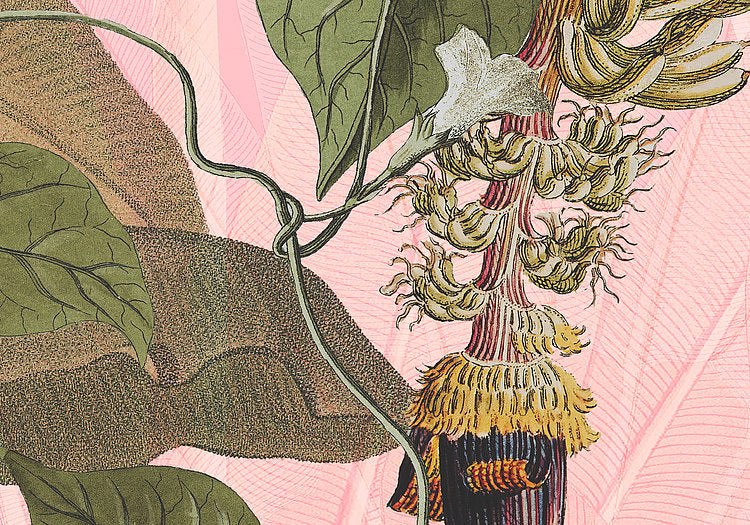 Plantation Wall Mural