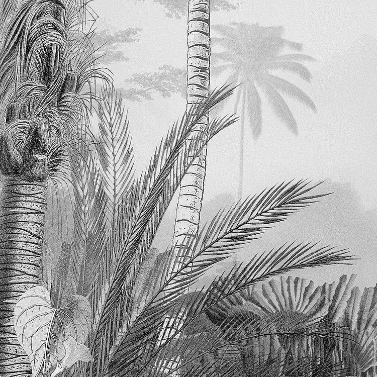 Lac Tropical Black & White