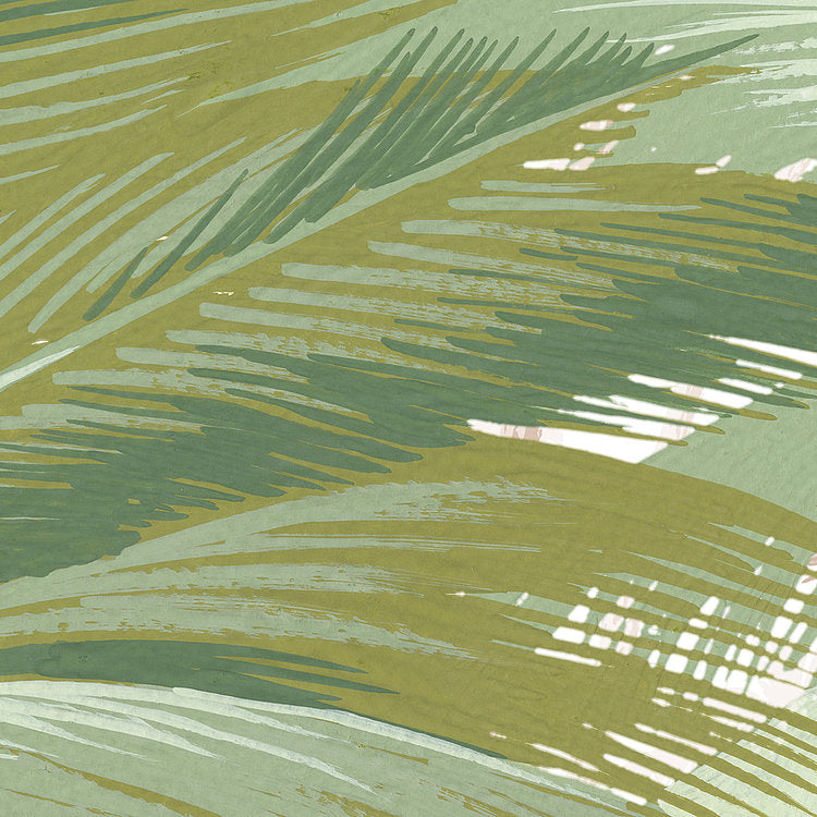 Palmera