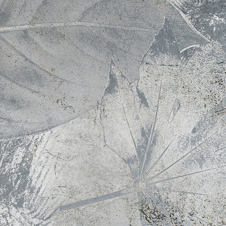 Flower Fossil