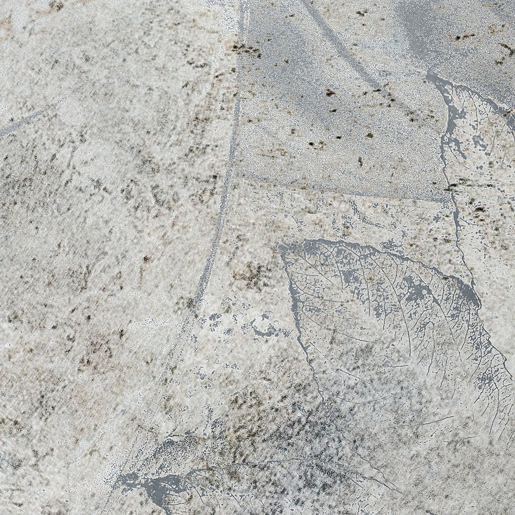 Flower Fossil