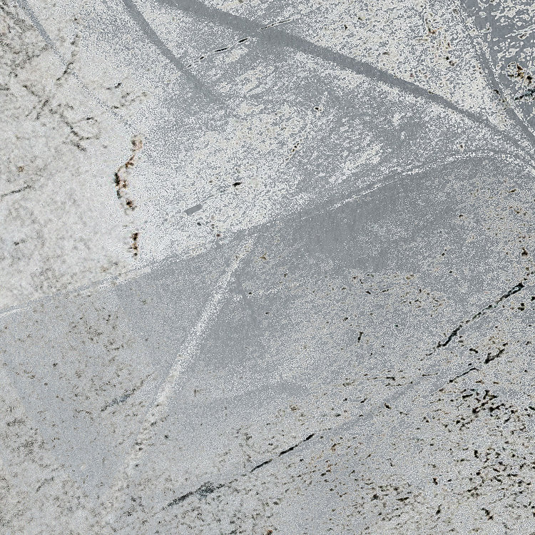 Flower Fossil