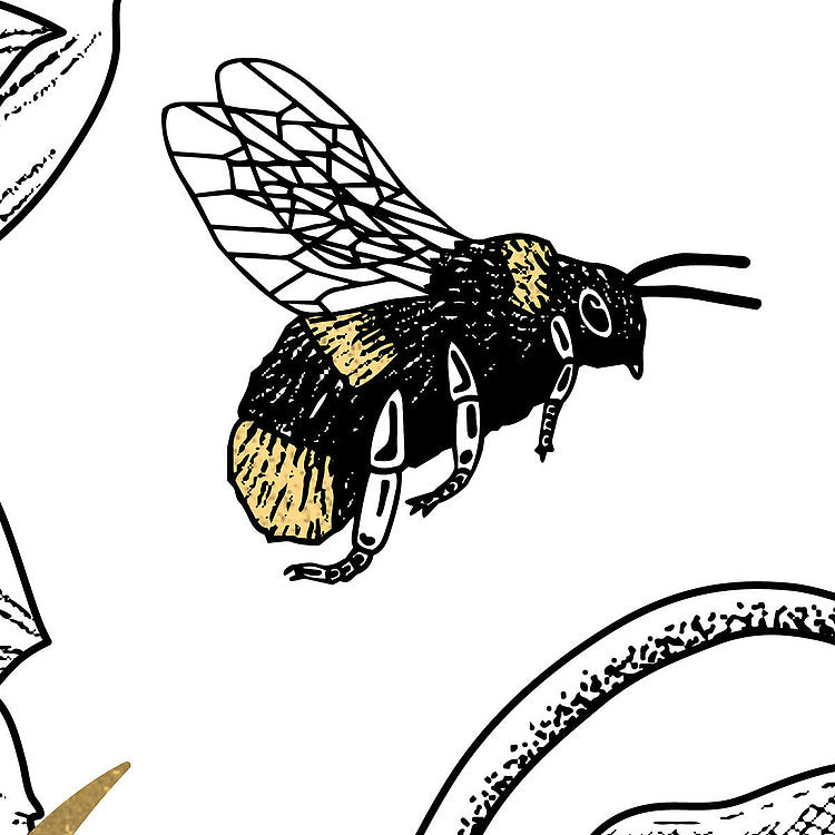 Bumble Bee