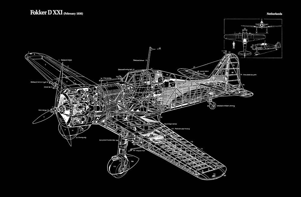 Fokker D XXI