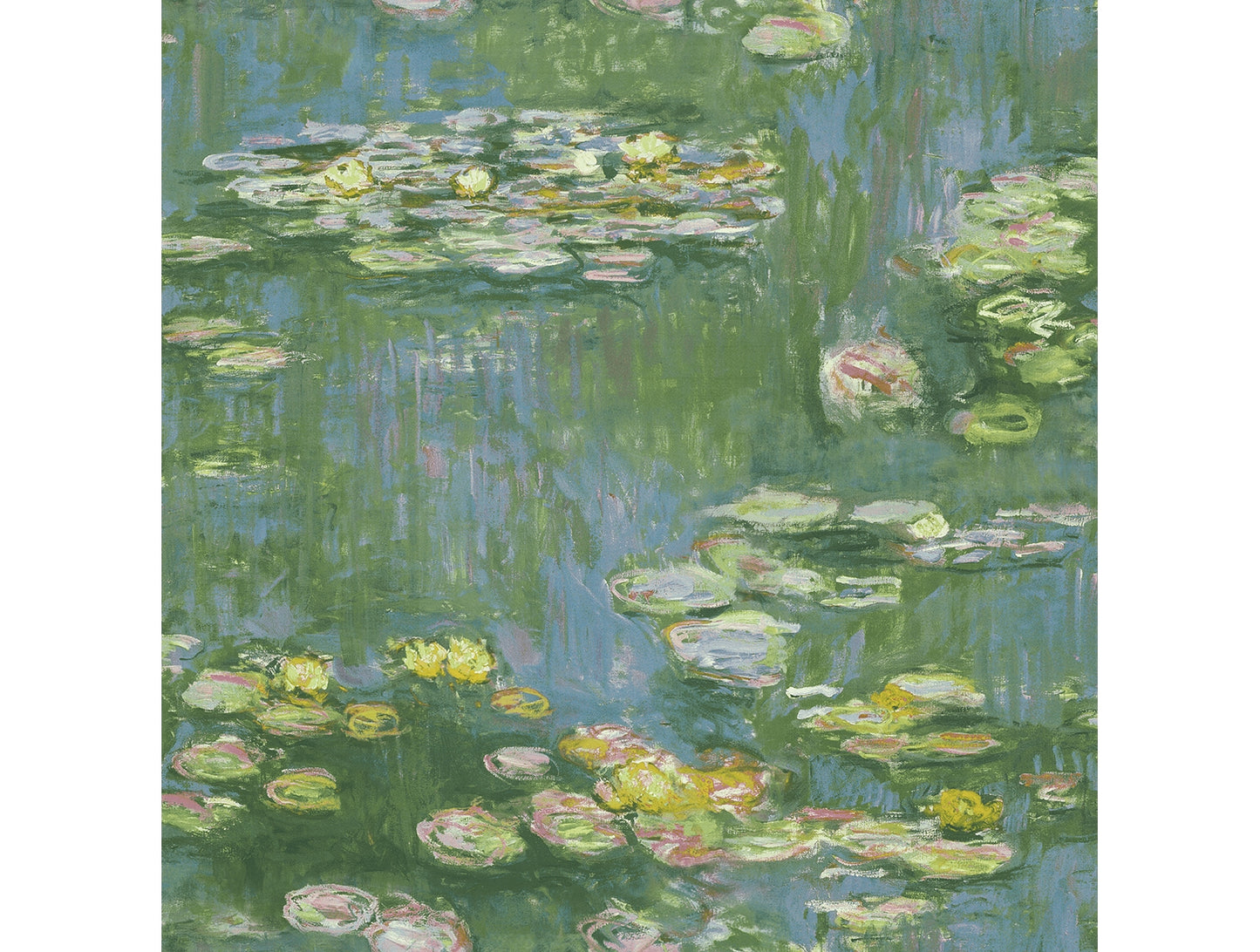 Water Lilies