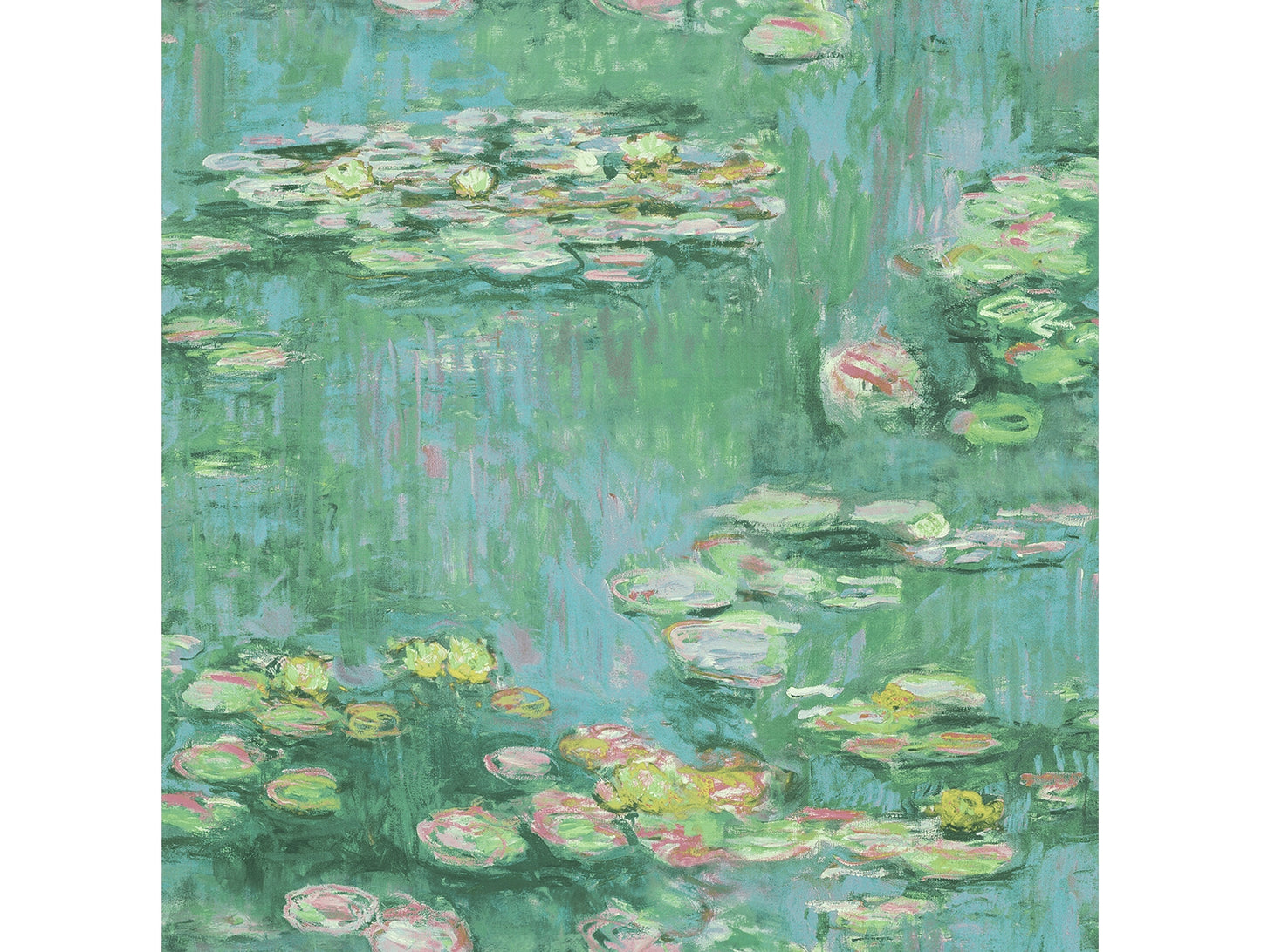 Water Lilies