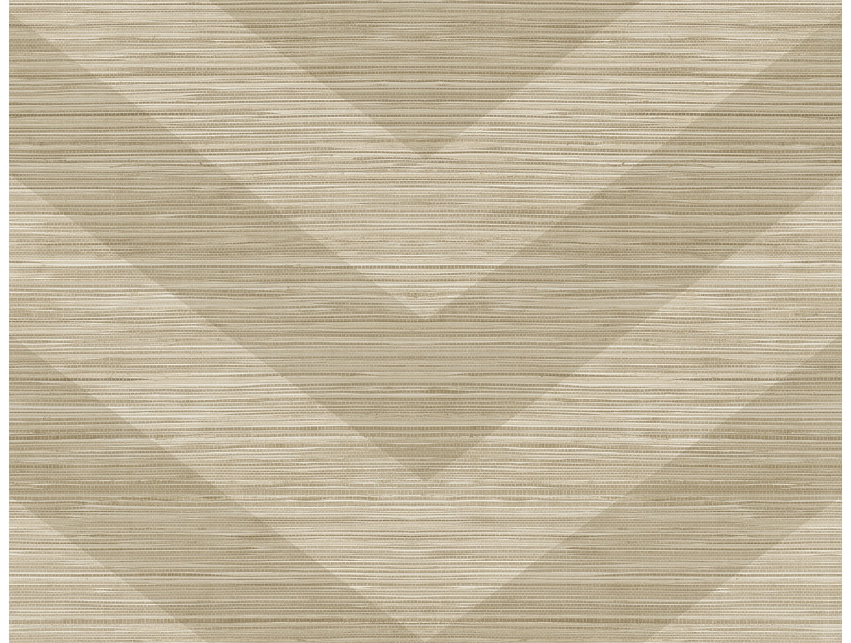 Chevron Grass Weave Textured