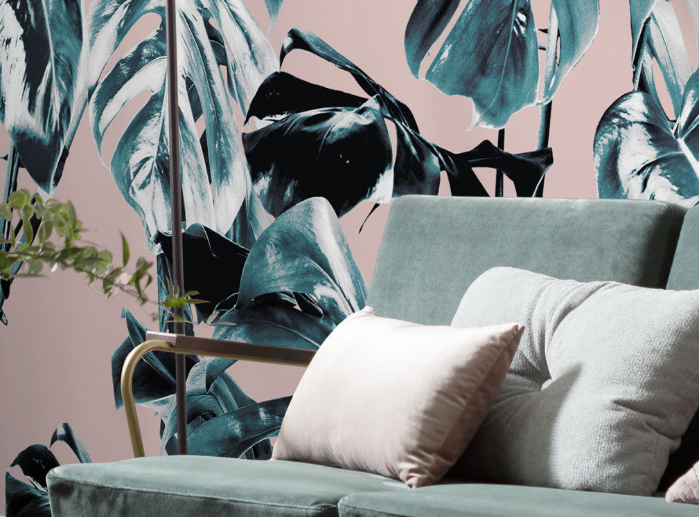 Monstera Rosé