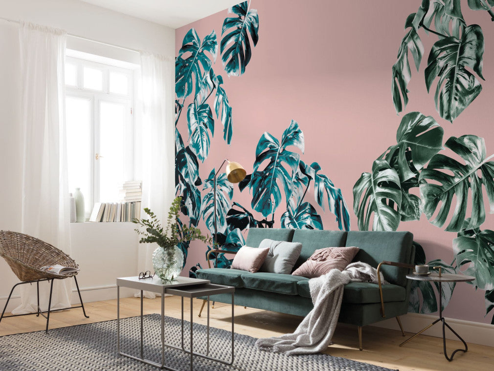 Monstera Rosé