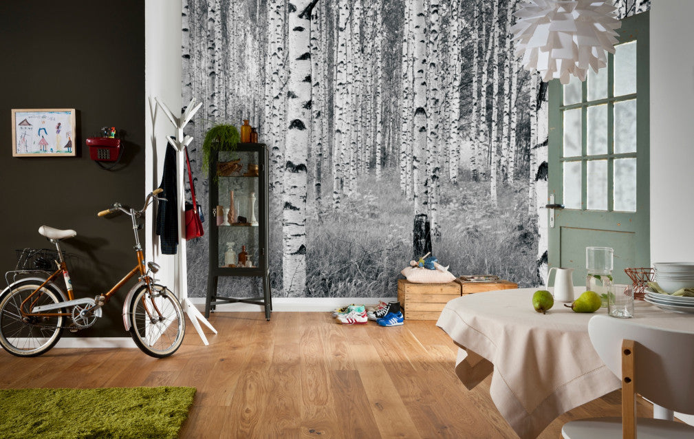 Birch Tree Forest Mural