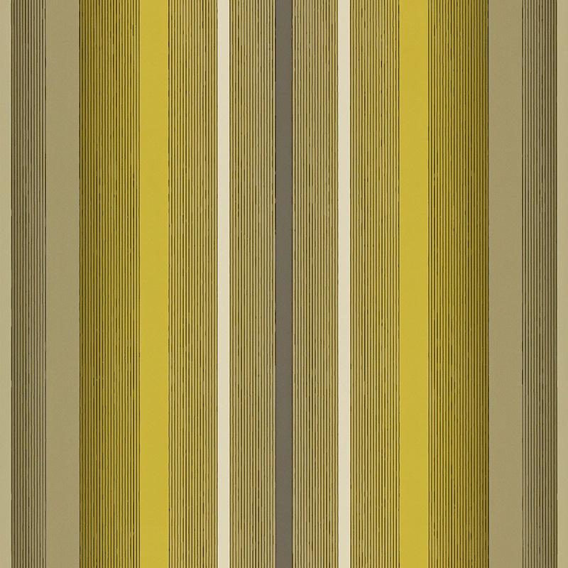Quin Stripe