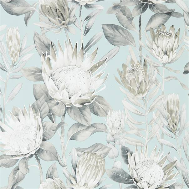 KING PROTEA