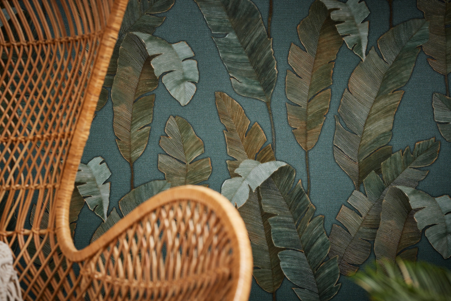 Banana Leaf