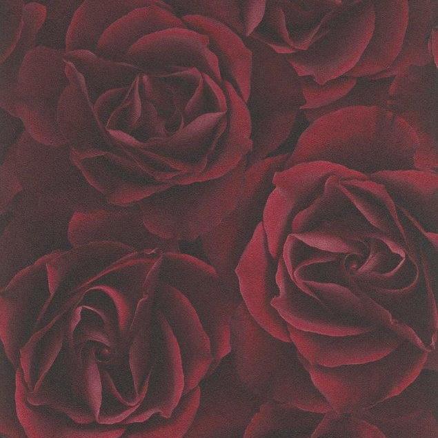 Passionate Roses