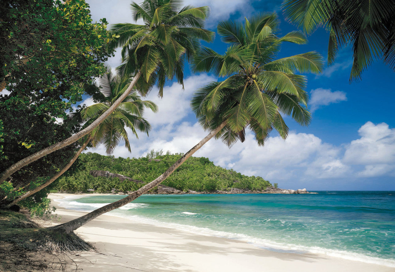 Tropical Beach and Sea Photographic Wall Mural