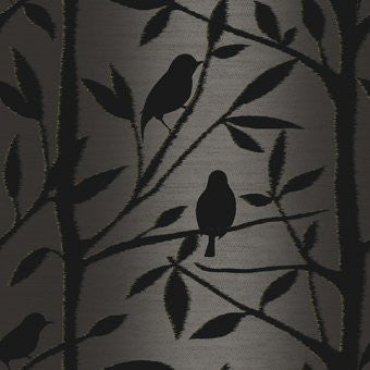 Black Tree Branches & Birds