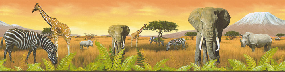 African Safari