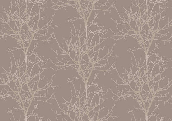 Auora Trees Wallpaper