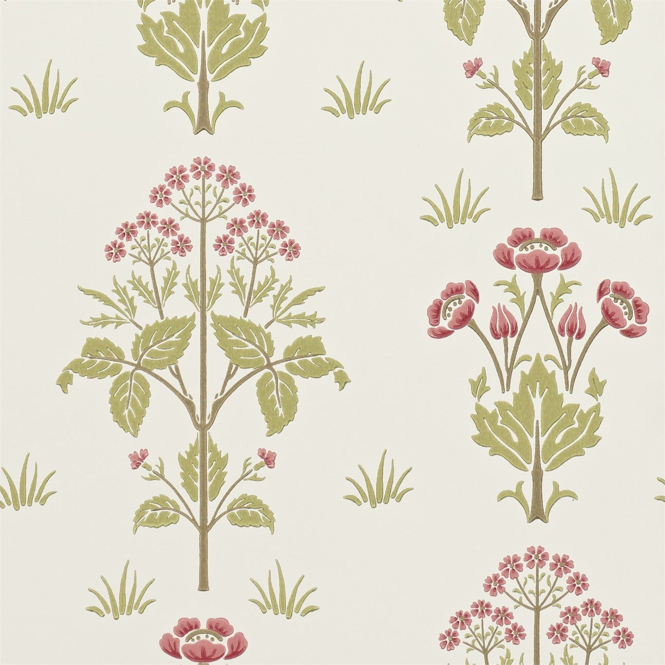 MEADOW SWEET