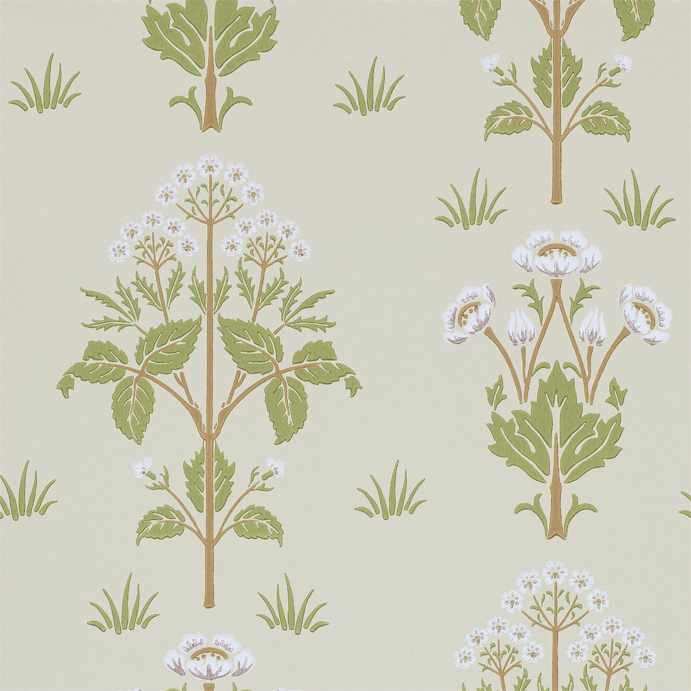 MEADOW SWEET